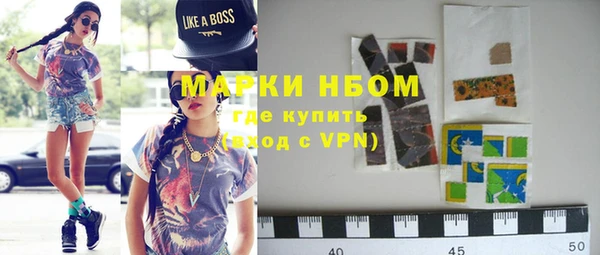 индика Лагань