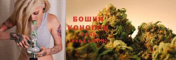 индика Лагань