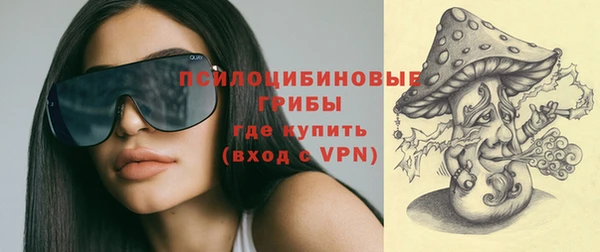 стаф Лабытнанги