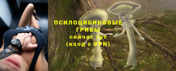 стаф Лабытнанги