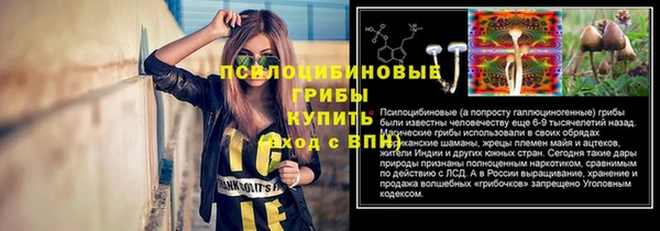 стаф Лабытнанги