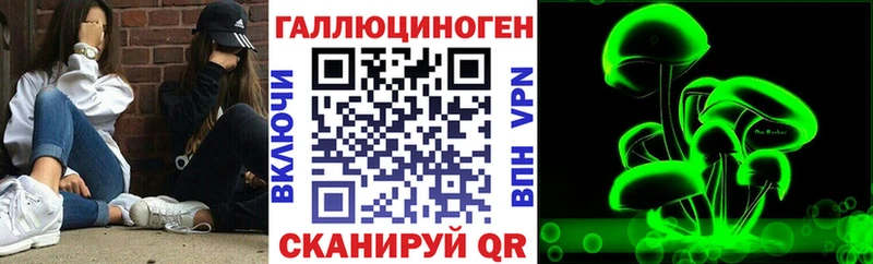 Псилоцибиновые грибы прущие грибы  дарк нет как зайти  Дмитровск  как найти  