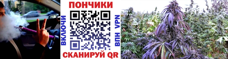 сколько стоит  Дмитровск  Шишки марихуана индика 
